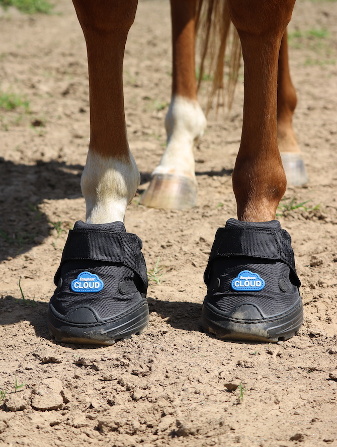 Bottines EasyBoot Taille 1 Par EasyCare - Protège-sabots Pour Cheval