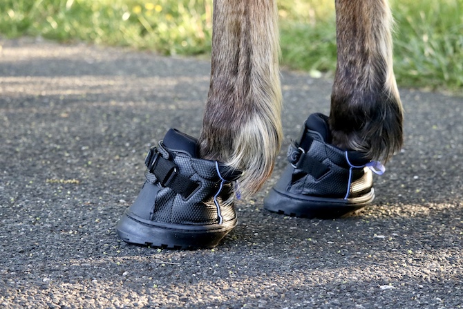 Easyboot Cloud Taille 0 - Accessoires animaux