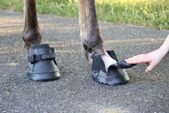 Botte Easyboot Taille Qte 1 Easyboot Trail - Bottine De Protection Pour Sabot De Cheval